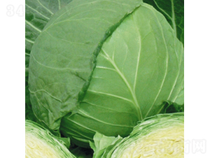 �F��4̖(h��o)-���{(l��n)�N��-��Ʒ�r(n��ng)�I(y��)