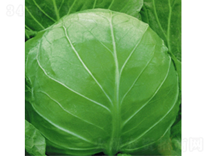 �̾G���{(l��n)-���{(l��n)�N��-��Ʒ�r(n��ng)�I(y��)