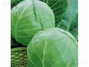 ���m�G��9̖-���{�N��-��Ʒ�r(n��ng)�I(y��)