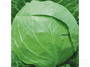 ���m�G��7̖(h��o)-���{(l��n)�N��-��Ʒ�r(n��ng)�I(y��)