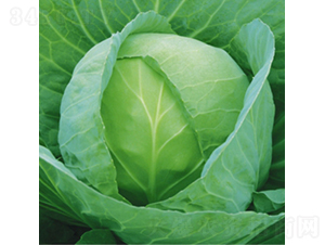 ���m�G��5̖(h��o)-���{(l��n)�N��-��Ʒ�r(n��ng)�I(y��)