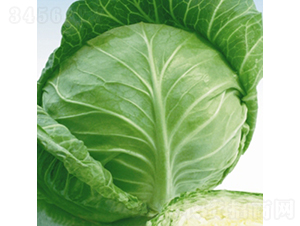 ���m�G��-���{(l��n)�N��-��Ʒ�r(n��ng)�I(y��)