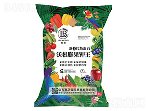 �¢ٴ��~(y��)�����ָ�������-��ؐ-�ﲩʿ