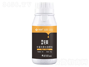 �Ǵ��V-ؐ���Z