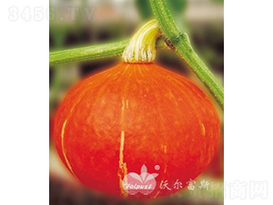 �S������̖F1���M(j��n)�ڸ߮a(ch��n)�tƤ�A�Ϲϣ�-�ϹϷN��-�֠���˹