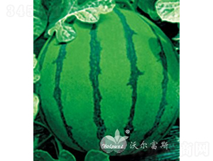 ���o(j��)���hF1������߮a(ch��n)���컨Ƥ���ϣ�-���ϷN��-�֠���˹