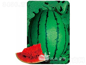 �紺����F1������紺�t��YƷ���ϣ�-���ϷN��-�֠���˹