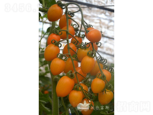 �S���ݶ�̖F1����TY�����S��С���ѣ�-���ѷN��-�֠���˹