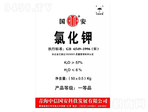 ���a�ຣ���-¡���r�Y