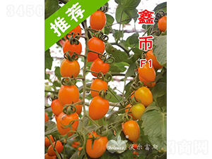 �Ύ�F1���_(t��i)�����M(j��n)��ɫ�S��С���ѣ�-���ѷN��-�֠���˹