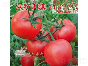 �ַ�360F1����TY�۹����ѣ�-���ѷN��-�֠���˹