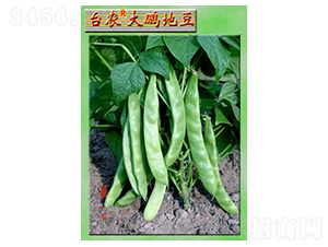 ���i�ض�-�ļ����N��-�_(t��i)�r(n��ng)�N��