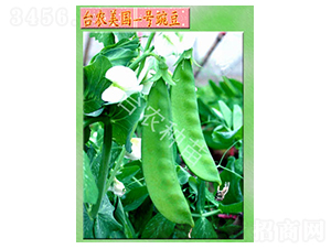 ����(gu��)1̖(h��o)�㶹-�㶹�N��-�_(t��i)�r(n��ng)�N��