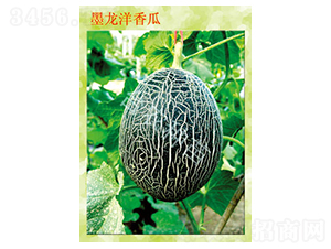 ī�������-��ϷN��-�_(t��i)�r(n��ng)�N��