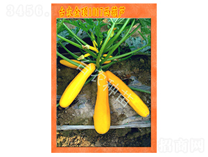 �_(t��i)�r(n��ng)���1017�����J-�����J�N��-�_(t��i)�r(n��ng)�N��