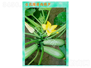 �G�������J-�����J�N��-�_(t��i)�r(n��ng)�N��