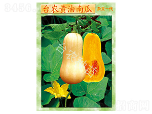 �_�r(n��ng)�S���Ϲ�-�ϹϷN��-�_�r(n��ng)�N��