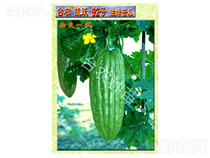 �_�r(n��ng)�P�S�;G���-��ϷN��-�_�r(n��ng)�N��