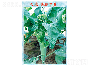 �u�Ƚ��{(l��n)-���{(l��n)�N��-�_�r(n��ng)�N��