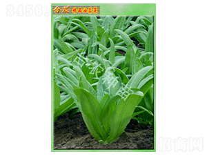 �_�r(n��ng)��Ʒ��ݤ��-�����˷N��-�_�r(n��ng)�N��