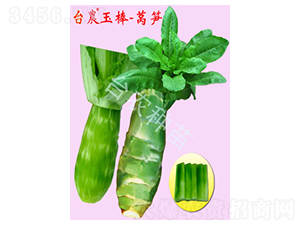 �_�r(n��ng)����n�S-�n�S�N��-�_�r(n��ng)�N��