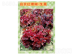 �_�r(n��ng)�tɺ������-���˷N��-�_�r(n��ng)�N��