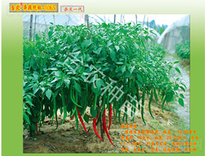 ����-1065-�����N��-�_�r(n��ng)�N��