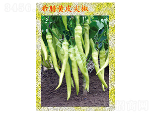 ϣ�D�SƤ�⽷-�����N��-�_(t��i)�r(n��ng)�N��