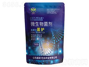 ΢�������-���o-���R��