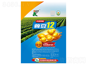 ����12-�󶹷N��-�ο�