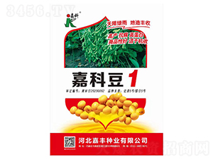 �οƶ�1-�󶹷N��-�ο�