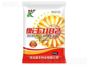 ����1182-���׷N��-�ο�