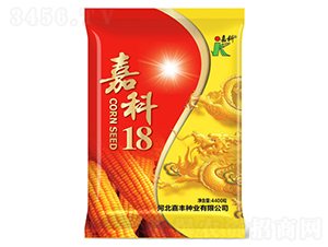 �ο�18-���׷N��-�ο�