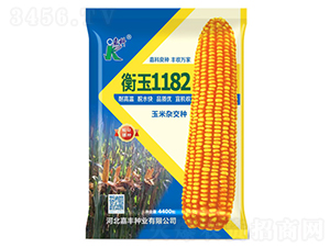 ����1182���׷N��-�ο�