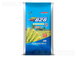 ʯ��828-С���N��-�ο�