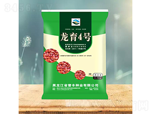 ����4̖(h��o)-���׷N��-�u(y��)�S