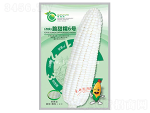 ����Ŵ6̖(h��o)-���׷N��-�𸣈@�r(n��ng)�I(y��)