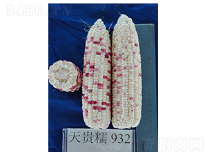 ���FŴ932-���׷N��-�𸣈@�r(n��ng)�I(y��)