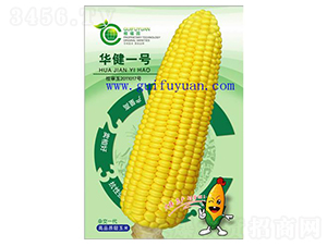 �A��һ̖(h��o)-���׷N��-�𸣈@�r(n��ng)�I(y��)