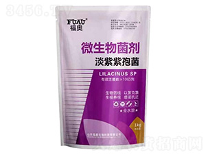 ΢�������-�������߾�-���W