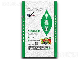 ľù�����ЙC(j��)��-���׺�