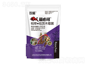 �ݲݡ�����ľù��-���ؿ�-�|�r�_�r�I(y��)