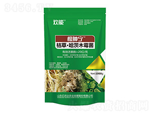 �ݲݡ�����ľù��-���[��-�|�r�_�r�I(y��)