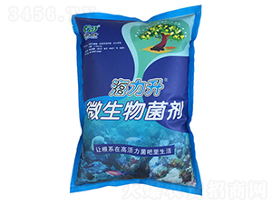 ΢����������ۄ���-������-�G������