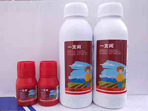 һ֧�e-�G������