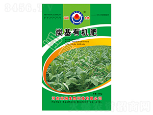 BM̿���ЙC(j��)��-��������