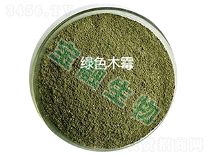 �Gɫľù-��������