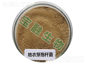 ����ѿ�ߗU��-��������