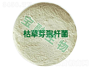 �ݲ�ѿ�ߗU��-��������