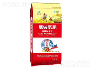 ���@����-�r(n��ng)�Sʥ